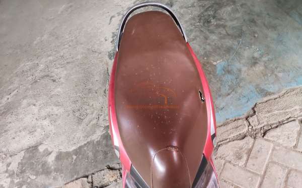 HONDA SCOOPY STYLISH