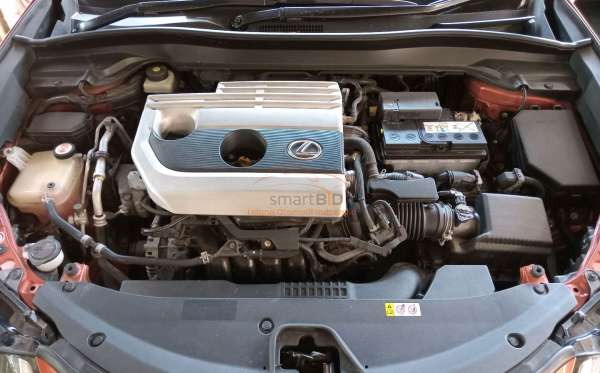 LEXUS 200
