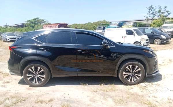 LEXUS NX 300 F-SPORT