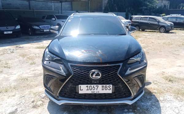LEXUS NX 300 F-SPORT