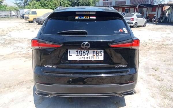 LEXUS NX 300 F-SPORT