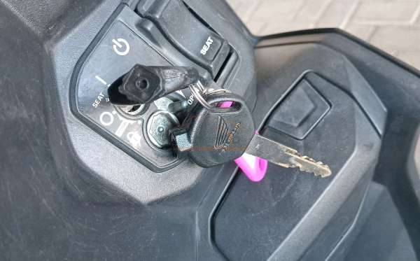 HONDA BEAT