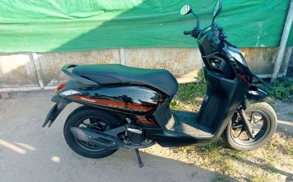 HONDA GENIO