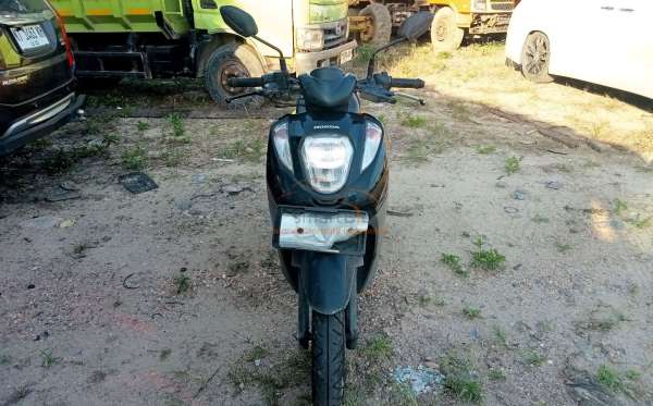 HONDA GENIO