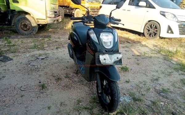 HONDA GENIO
