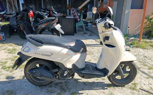 HONDA  SCOOPY