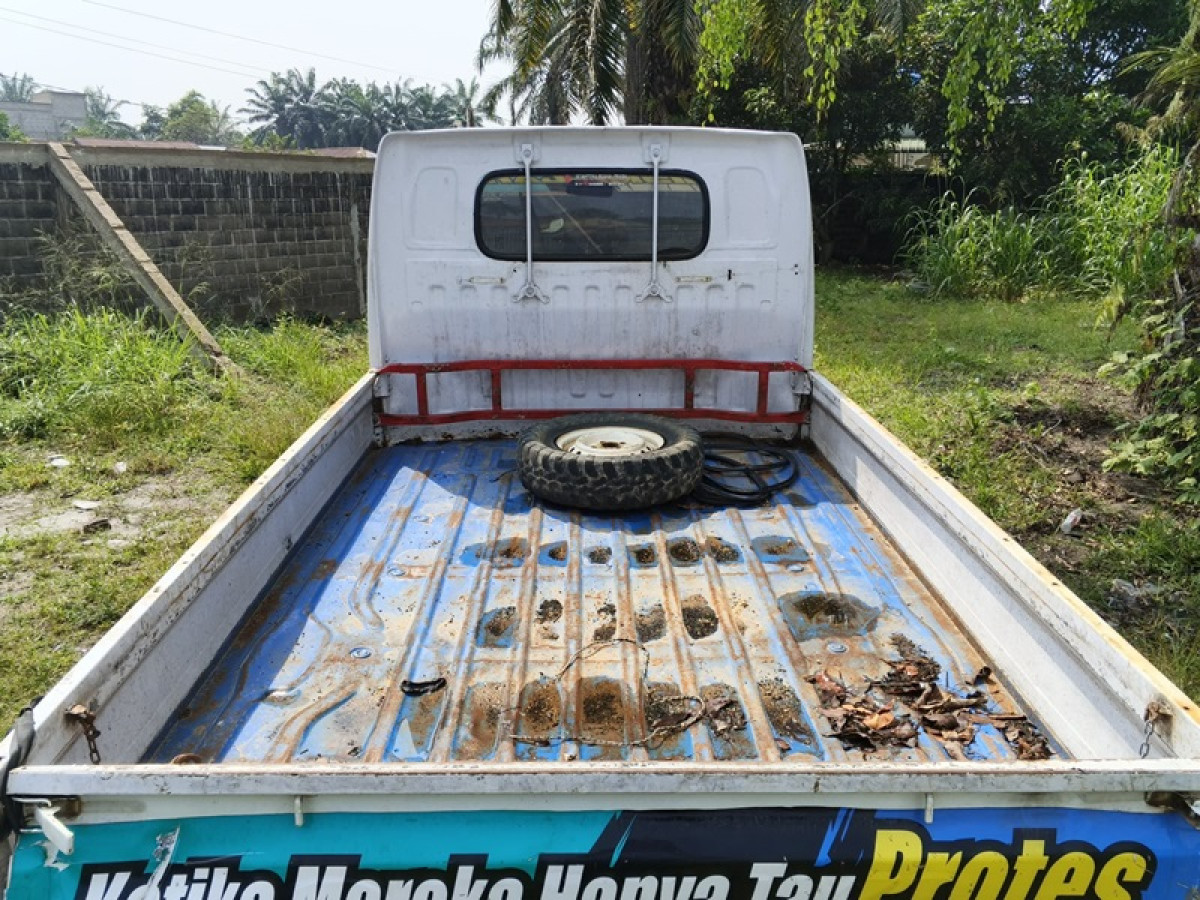 SUZUKI CARRY  PU