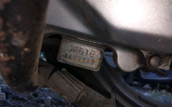 HONDA  GENIO