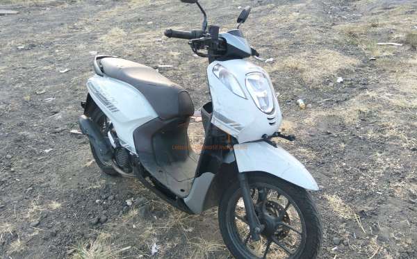 HONDA  GENIO