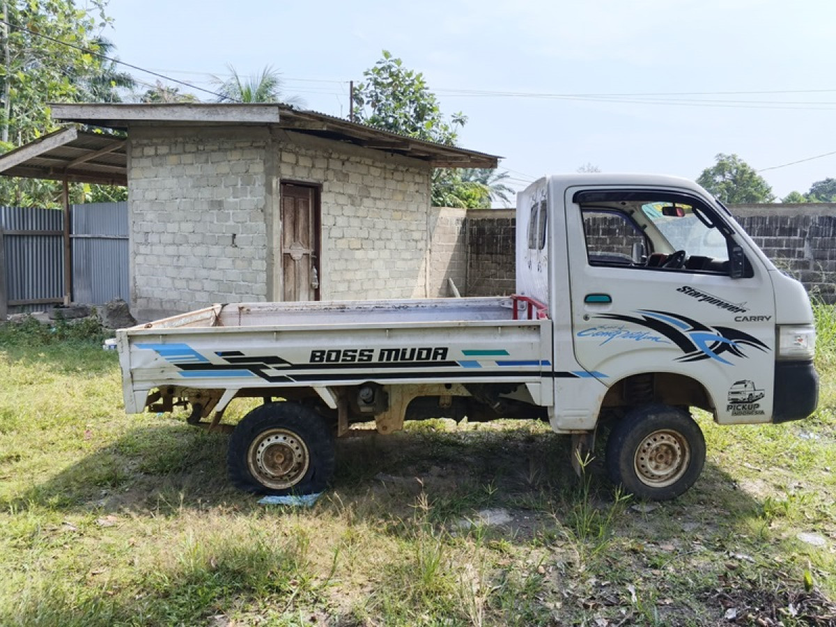 SUZUKI CARRY  PU