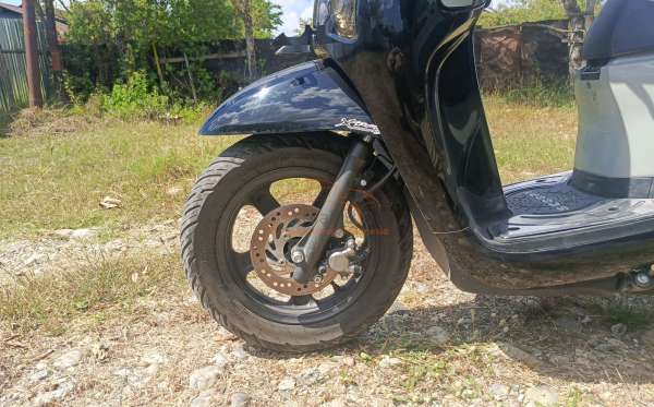 HONDA  SCOOPY