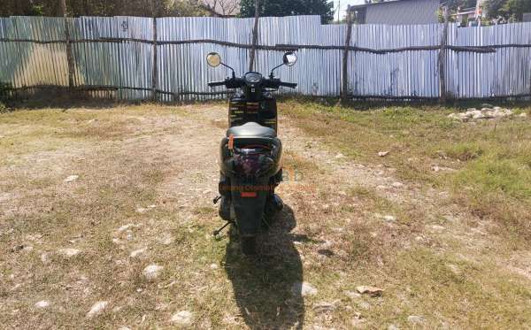 HONDA  SCOOPY