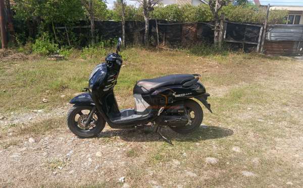 HONDA  SCOOPY
