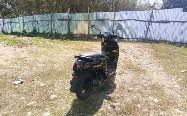 HONDA  SCOOPY