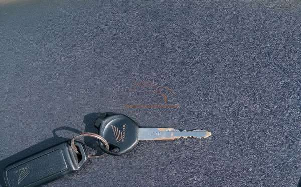 HONDA SCOOPY