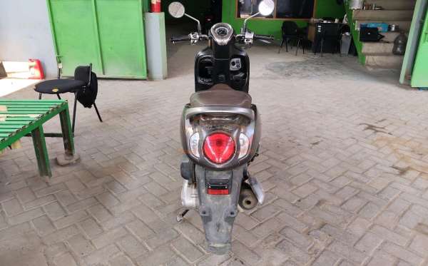 HONDA SCOOPY STYLISH