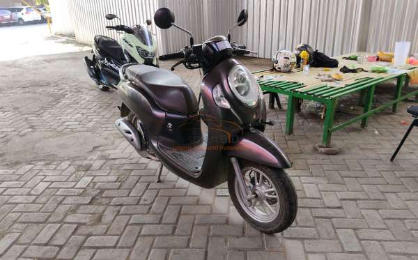 HONDA SCOOPY STYLISH