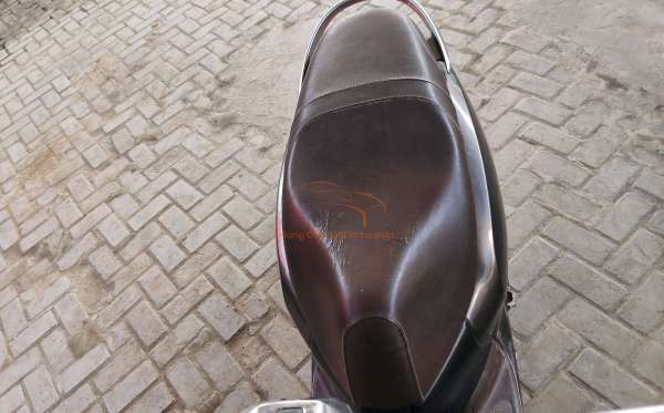HONDA SCOOPY STYLISH