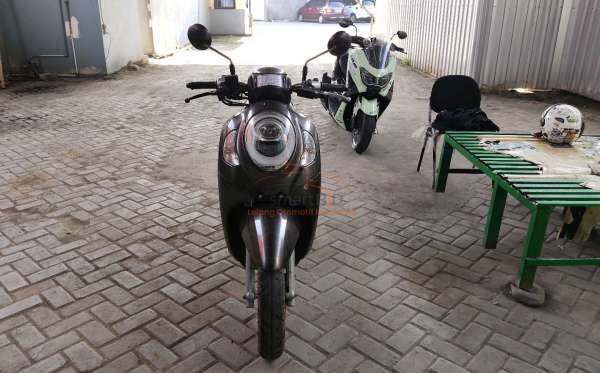 HONDA SCOOPY STYLISH