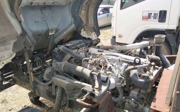 ISUZU  NMR 81U