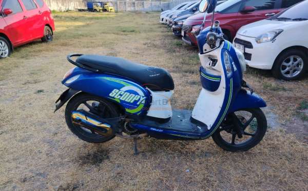 HONDA SCOOPY CW
