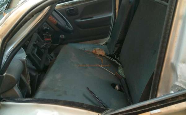 SUZUKI CARRY PU WD