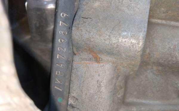 TOYOTA  RAIZE