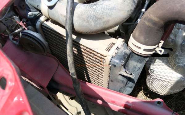 TOYOTA  RAIZE