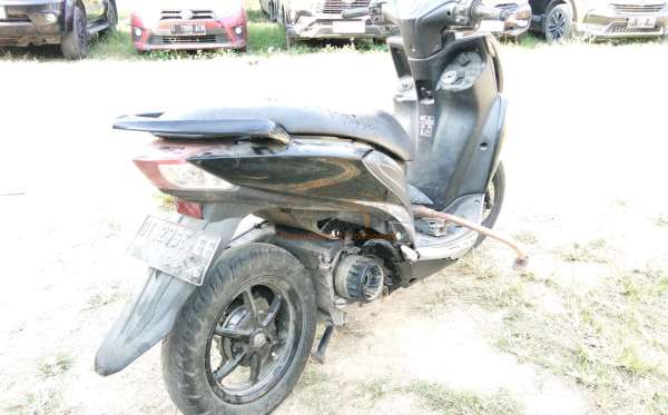 YAMAHA FREEGO