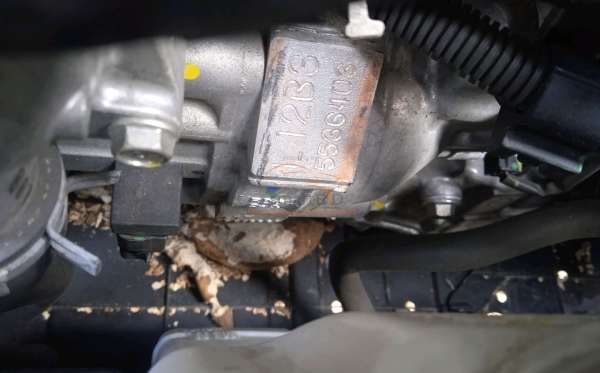 HONDA BRIO SATYA E