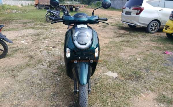 HONDA SCOOPY STYLISH