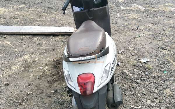 HONDA  GENIO