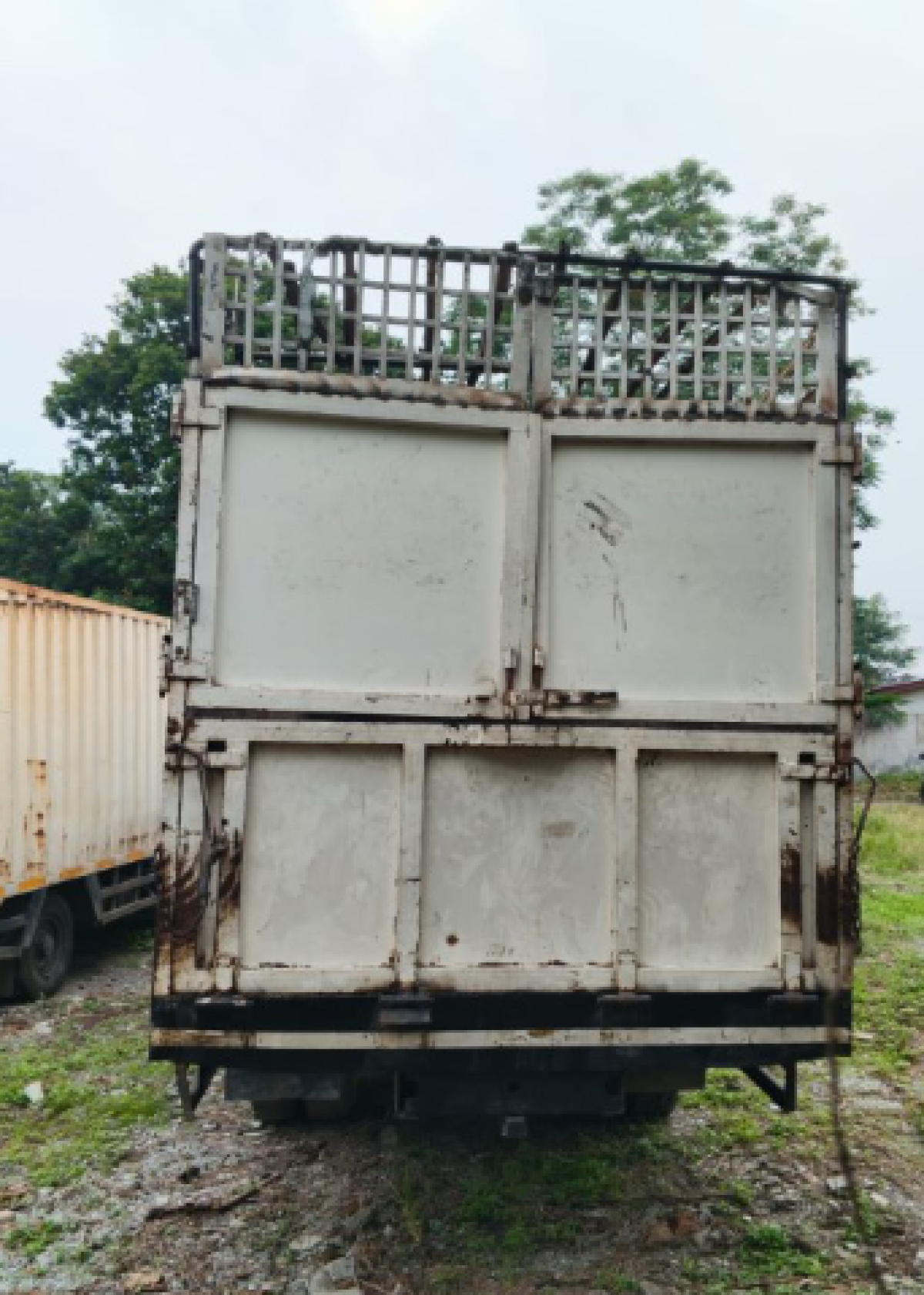 ISUZU NMR 81U