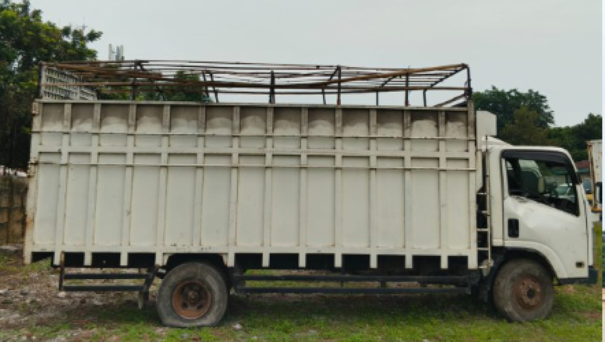ISUZU NMR 81U