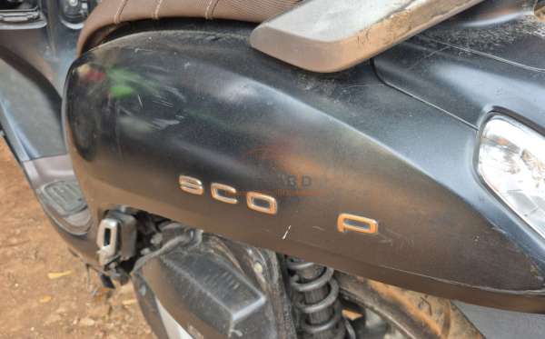HONDA SCOOPY CW