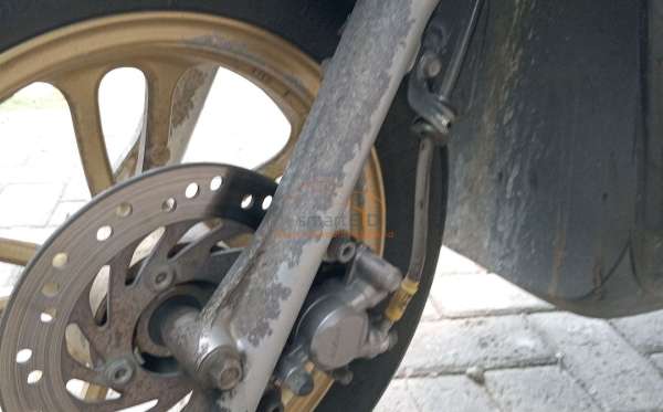 HONDA SCOOPY