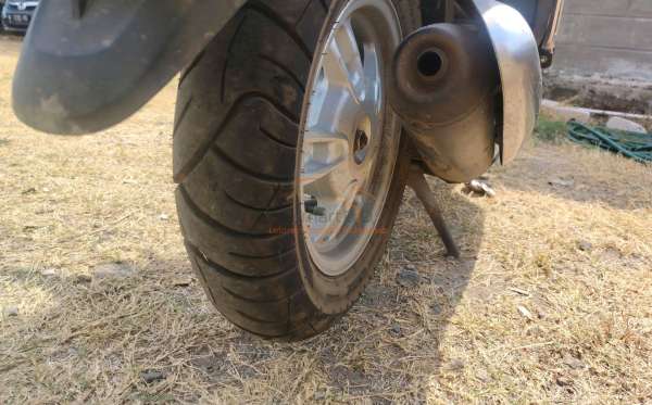 HONDA SCOOPY STYLISH
