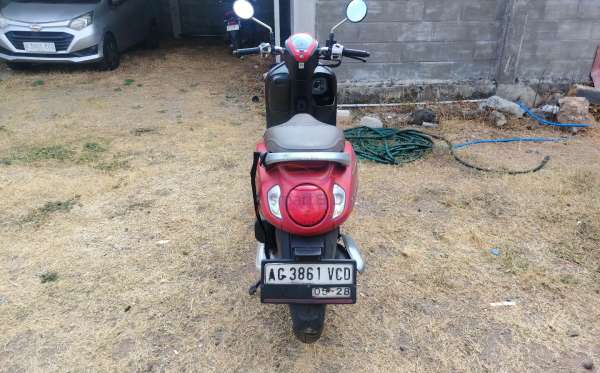 HONDA SCOOPY STYLISH