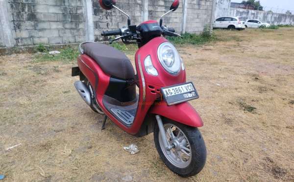 HONDA SCOOPY STYLISH