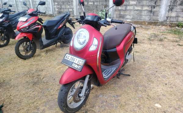 HONDA SCOOPY STYLISH