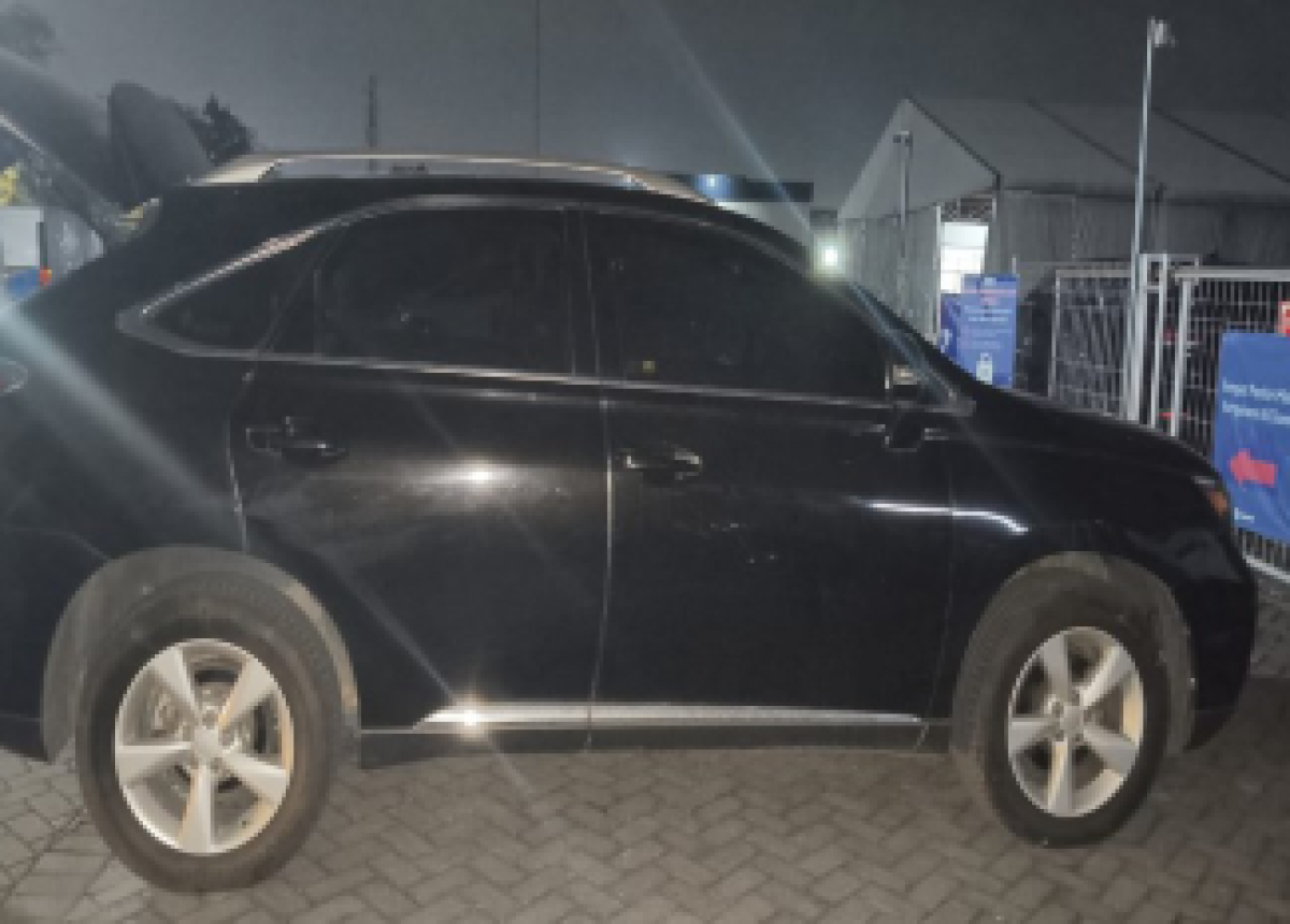 LEXUS LEXUS RX RX 270