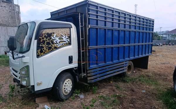 ISUZU  NMR  71T HD 6.1
