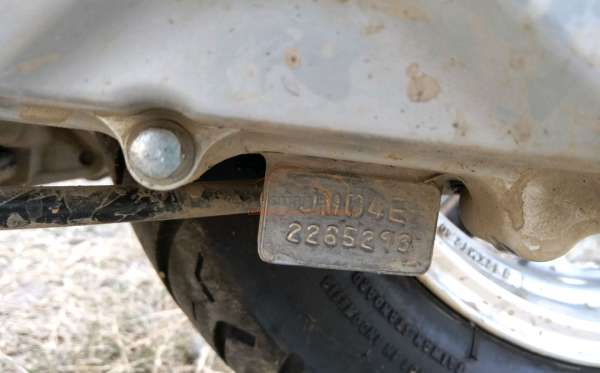 HONDA SCOOPY STYLISH