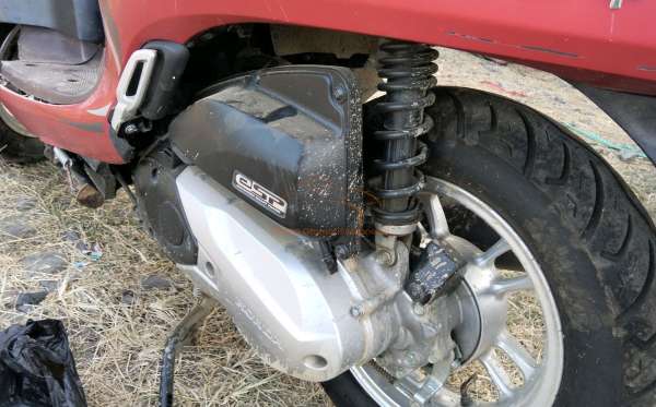 HONDA SCOOPY STYLISH