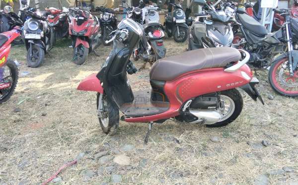 HONDA SCOOPY STYLISH
