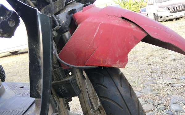 HONDA SCOOPY STYLISH
