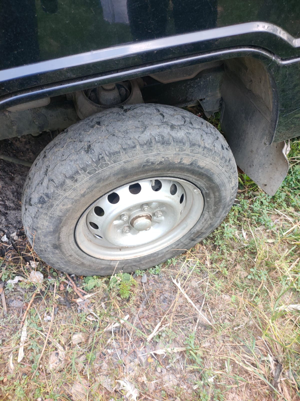 MITSUBISHI  L 300 L300 PU FB-R (4X2)