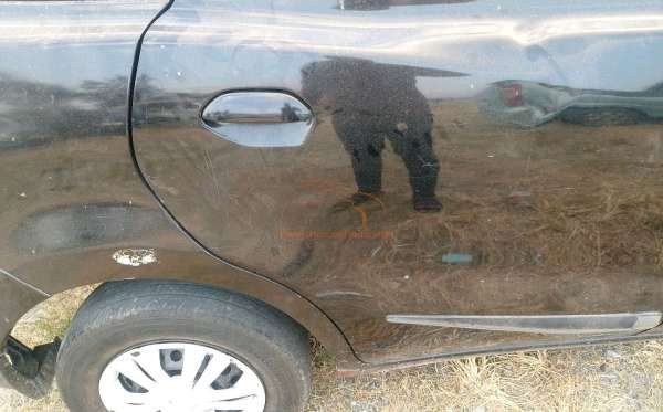 DATSUN GO+PANCA T