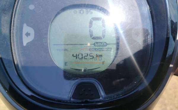 HONDA  SCOOPY
