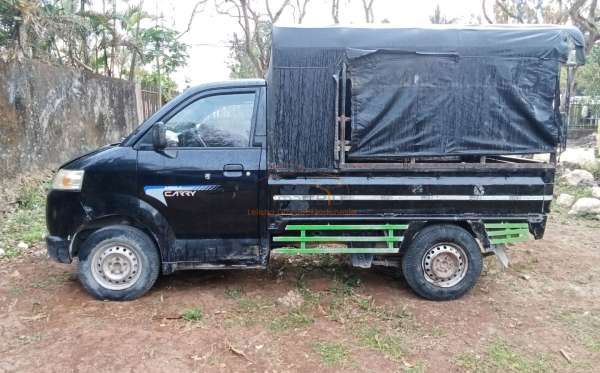 SUZUKI MEGA CARRY P.U